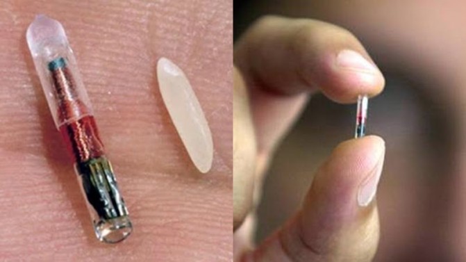 赛博格降临?瑞典公司尝试人体芯片植入