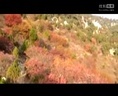 歪歌社团 上技校的孩纸伤不起《无耻的技术学院》