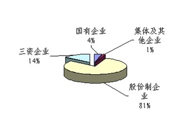 经济类型