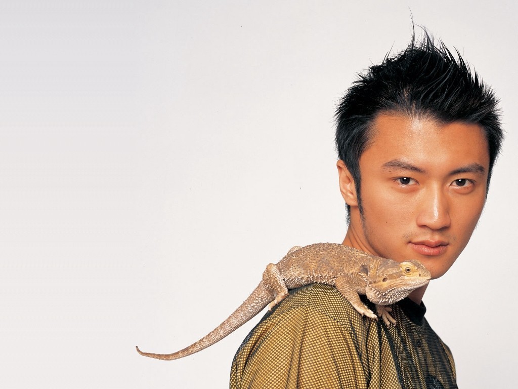 全球华语明星人气榜第3位.