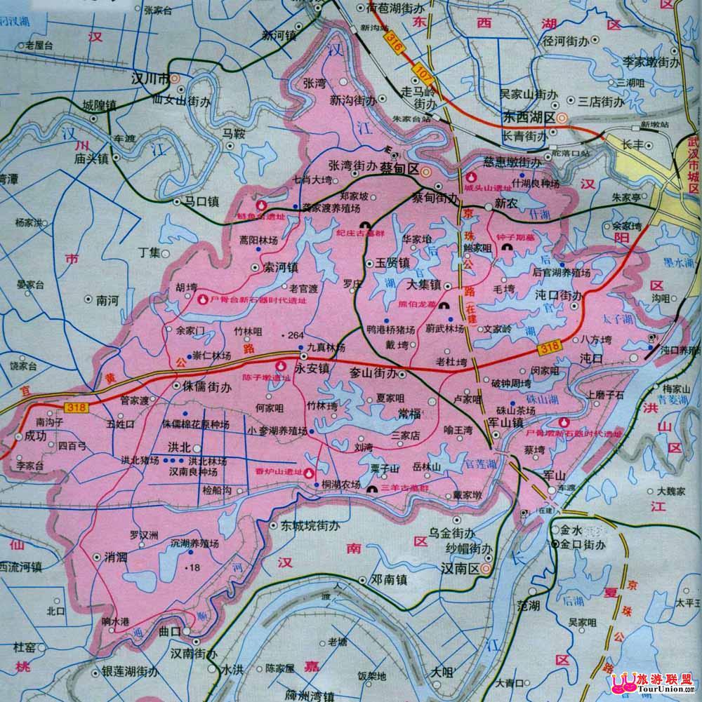 武汉市蔡甸区行政地图图片