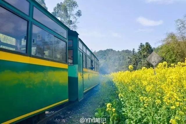 四川嘉陽駛向春天的小火車 又到了最美時刻你還不去?