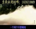 歪歌社团 歪歌社团《国足欢迎你》【第一季】