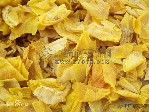 鸡内金是不是鸡肾的皮啊,图片有吗?谢谢