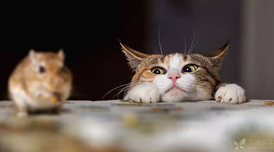 犯困、心慌、多汗u2026u2026身体出现这10种症状，赶紧去做个甲状腺检查 