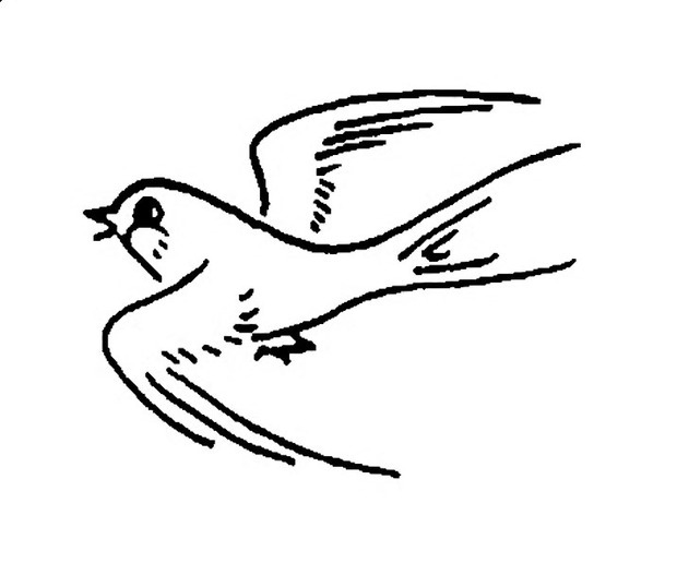 燕子手绘图 简笔图片