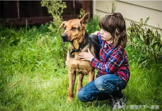 他希望人們能善待流浪動物,他表示會一直堅持幫助流浪動物