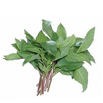 九味香是植物吗?