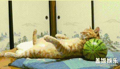 这西瓜枕头 夏天枕着真凉快