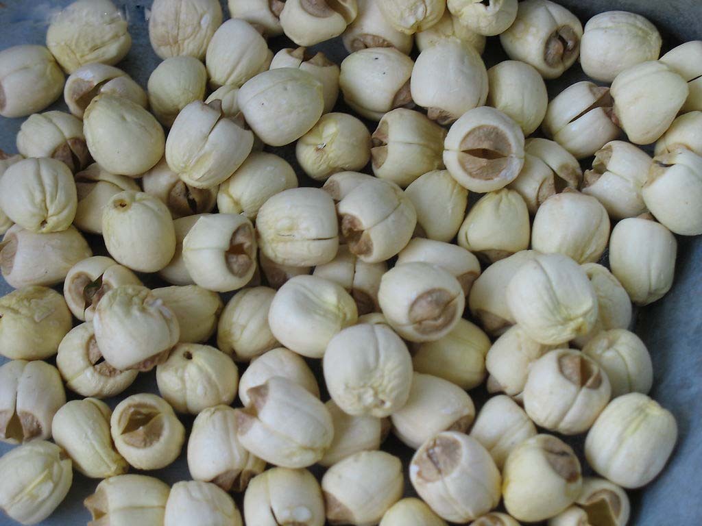 据明正德《建昌府志》和清同治《广昌县志》记载:"白莲池在县西南五