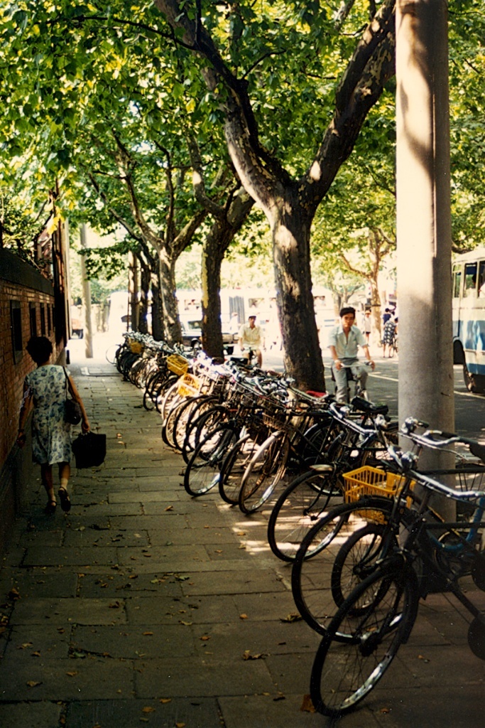 【皂角:看看80年代中国百姓的生活!】