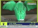 第一时尚 《第1时尚》 20140428