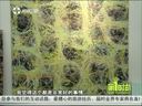 第一时尚 《第1时尚》 20140516