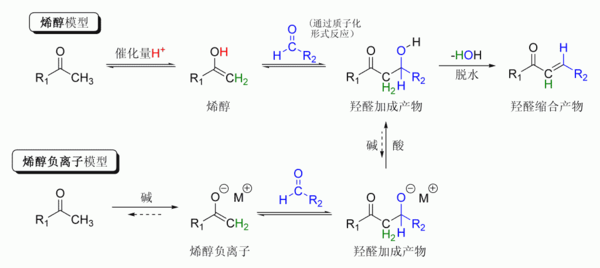 試劑對醛酮進行親核加成,生成β-羥基醛,β-羥基醛受熱脫水成不飽和醛