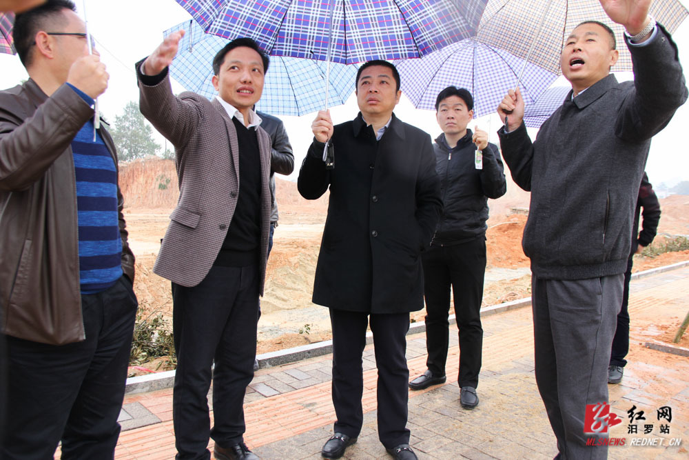 市委副书记,市长朱平波(左三,副市长吴高明(右一,宋辉(右二)实地