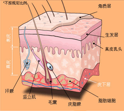 泡澡久了皮肤皱巴巴是怎么回事