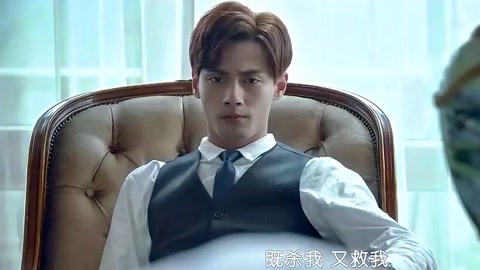 总裁在上4:总裁的专属守护