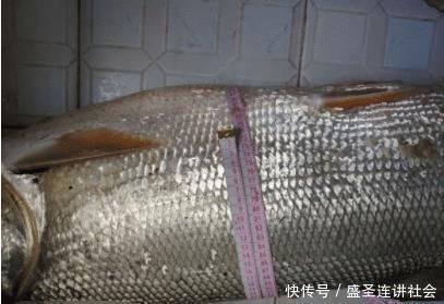 太湖包船钓鱼：体验自然与乐趣交织的盛宴