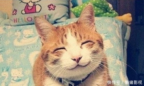 逗乐笑话