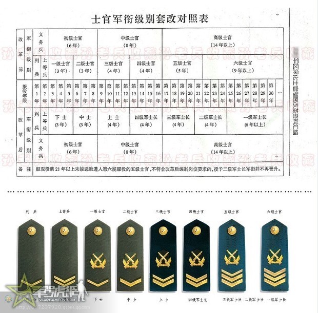 当兵衣领标志图片