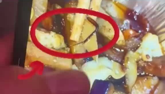 在烤鱼里吃出蟑螂腿