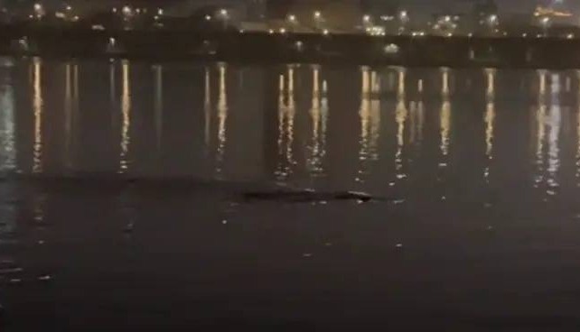 汉江现巨型不明物体